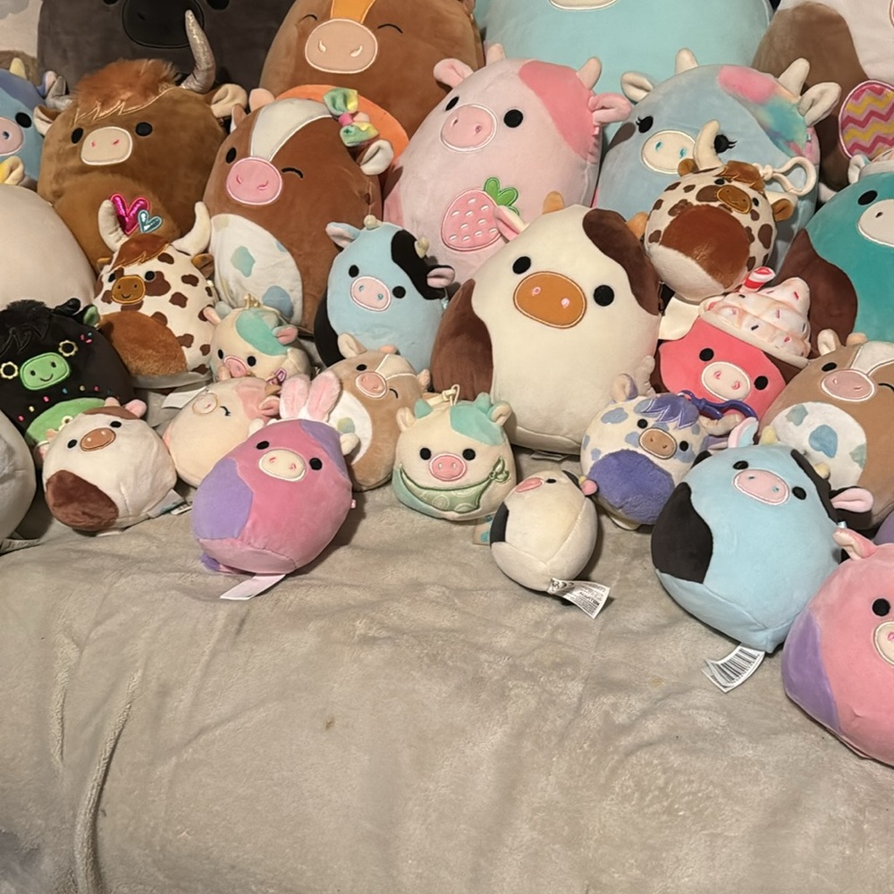 70 cow squishmallow bundle VERY RARE. - Picture 10 of 13